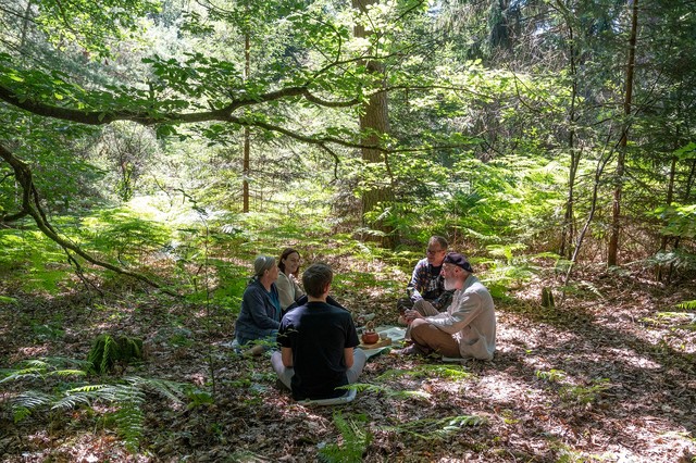Teezeremonie im Wald mit Lothar Wilhelm